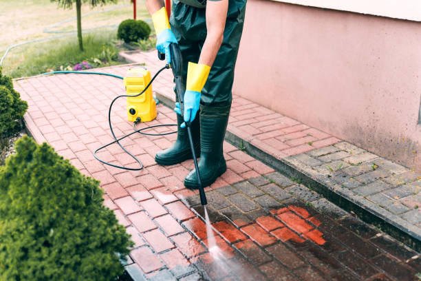 Boat and Dock Cleaning in Rosedale, WA